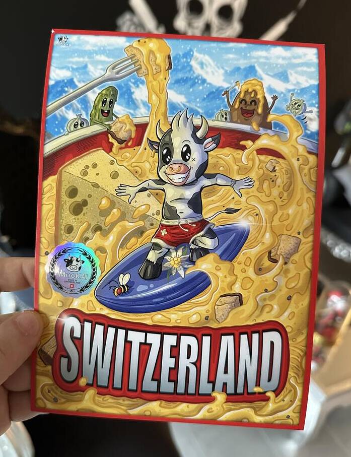 Fondue-Surfer MOOKAI